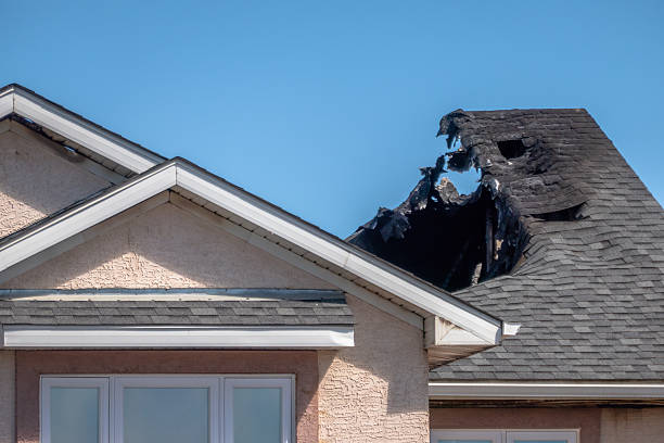 Top rated local Board Up Services specialists in Wayne, OH